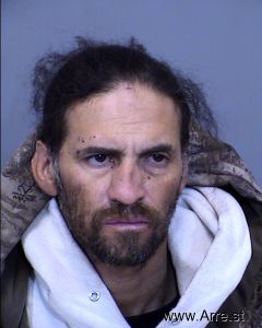 Michael Luna Arrest