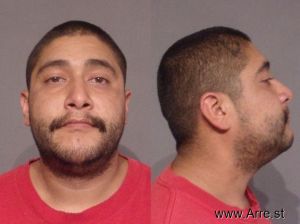 Michael Villalobos Arrest