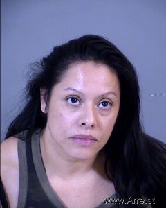 Michelle Saldivar Arrest