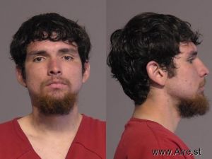 Miguel Gonzalez Arrest Mugshot