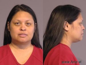 Misty Mendoza Arrest Mugshot