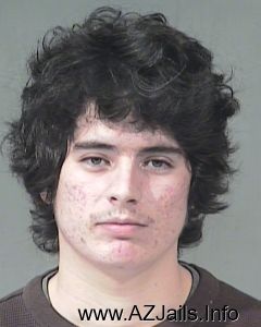 Nicholas Williams          Arrest Mugshot