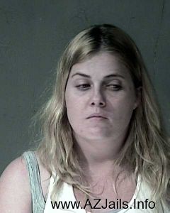 Nicole Shreve Arrest