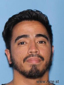 Nicoles Arboleda Arrest Mugshot