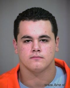 Nicholas Rossi Arrest