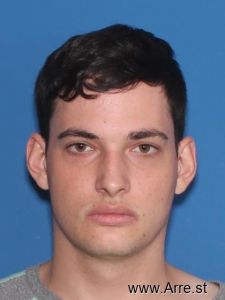 Paul-rene Carlson Arrest Mugshot