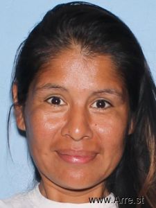 Paula Guzman Arrest Mugshot