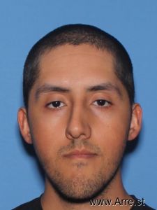 Raul Pineda Arrest Mugshot