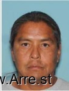 Ronald Hovel Arrest Mugshot