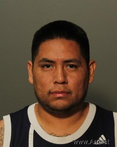 Rowan Kicking Horse Rhodes Arrest Mugshot