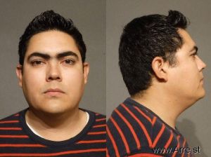 Raul Garibaldi-palma Arrest Mugshot