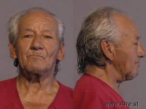 Raul Mendoza Ochoa Arrest Mugshot