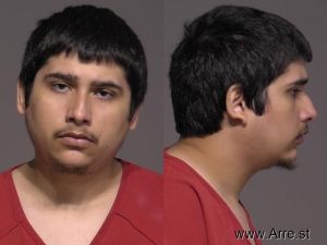 Raymond Ruiz Arrest Mugshot