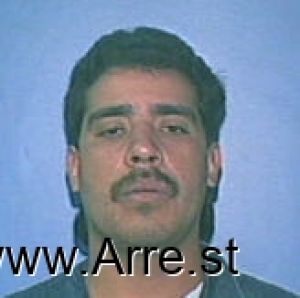 Renee Bejarano Arrest Mugshot