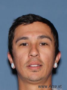 Robert Stein Jr Arrest Mugshot