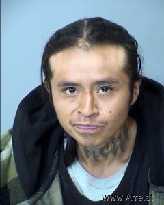 Ryan Sanchez Arrest