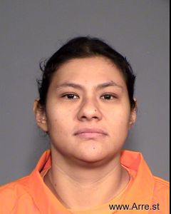Sabina Ortiz Arrest Mugshot