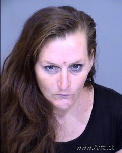 Samantha Villanova Arrest