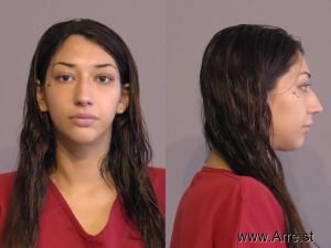 Sarah Castanon Arrest Mugshot