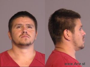 Steve Medina Arrest Mugshot