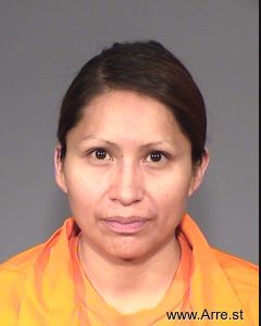 Sue Cecena Arrest Mugshot