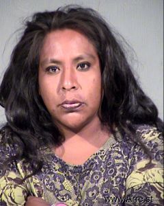 Teresa Gonzales Arrest Mugshot