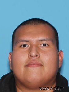 Travis Dennison Arrest Mugshot