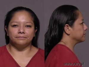 Tanya San Diego Arrest Mugshot