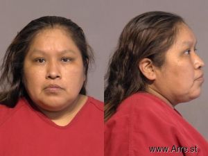 Tashena Johns Arrest Mugshot