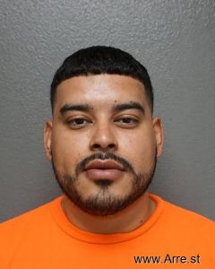 Trinidad Pesqueira Arrest Mugshot