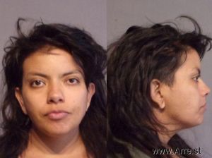 Vanessa Rios Arrest Mugshot