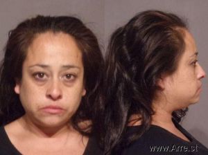 Vanessa Torres Arrest Mugshot