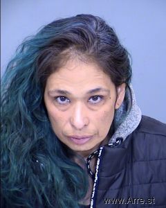 Veronica Sanchez Arrest