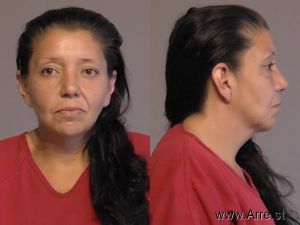 Veronica Tamayo Arrest