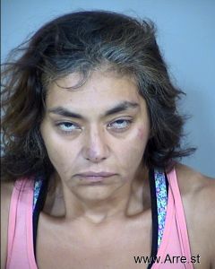 Virginia Medina Arrest Mugshot