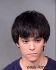 CARLOS CASTILLO Arrest Mugshot Maricopa 06/06/2013