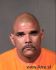 FELIPE VALLES Arrest Mugshot Maricopa 04/30/2013