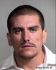 JARED ELZY Arrest Mugshot Maricopa 08/26/2014