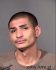 JUAN BELTRAN Arrest Mugshot Maricopa 06/10/2013