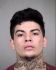 LUIGI DAVANZO Arrest Mugshot Maricopa 02/18/2016