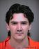 Michael Lewis Arrest Mugshot DOC 03/19/2001
