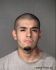 SILVESTRE PINEDA Arrest Mugshot Maricopa 10/29/2013