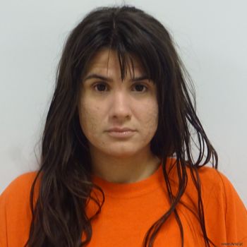 Andrea Nicole Santos Mugshot