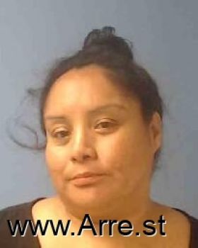 Adrienne Nicole Mcnoise Mugshot