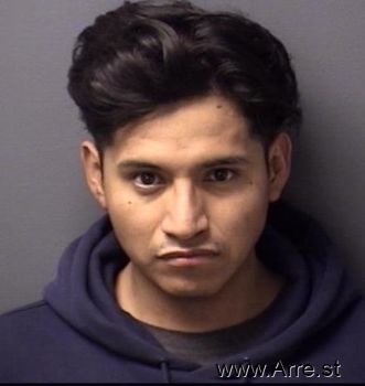 Alejandro  Gonzalezflores Mugshot