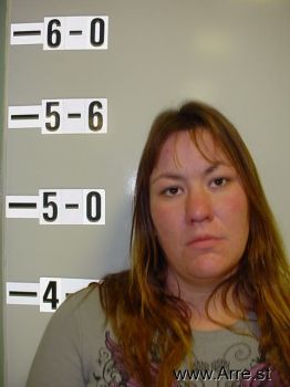 Amanda Renee Wade Mugshot