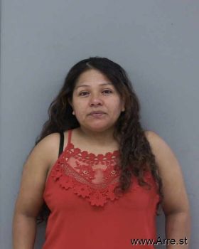 Ana  Lopez Mugshot