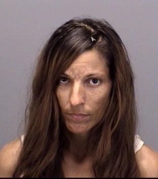 Andrea Lee Lane Mugshot