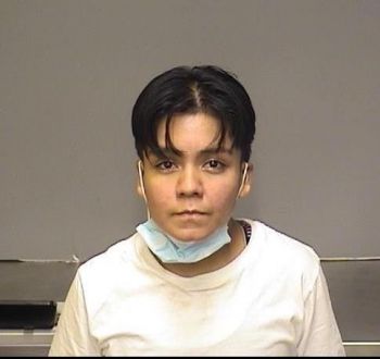 Anna Vanessa Torres Mugshot