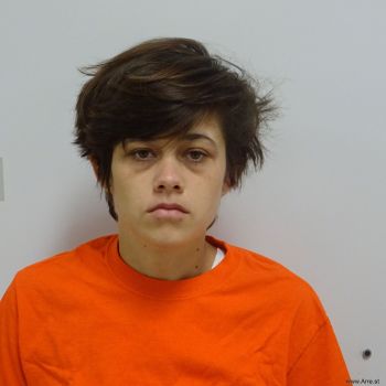 Ariel  Bordessa Mugshot